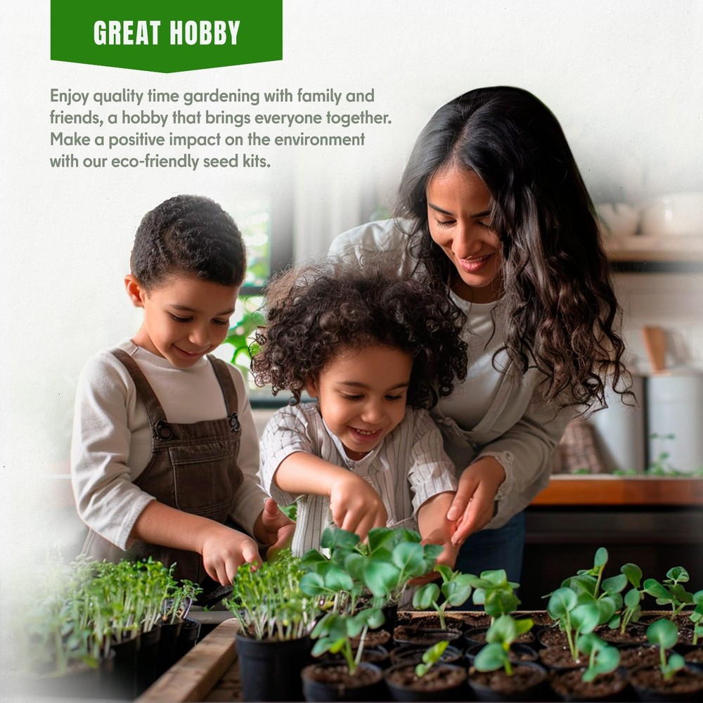 Culinary Herb Seed Kit 18 Varieties, 4100+ Seeds, Heirloom Non-GMO