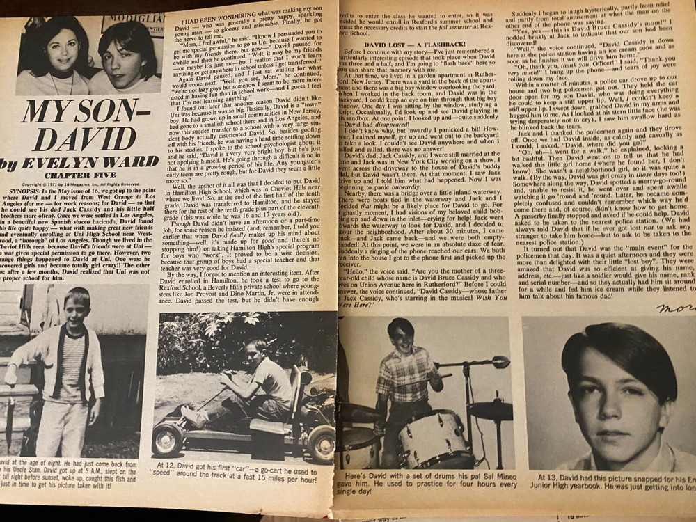 David Cassidy, Three Page Vintage Clipping
