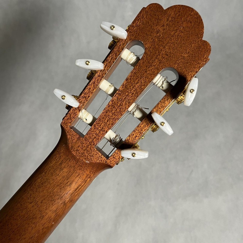 Luthier MH100 (no2501001)