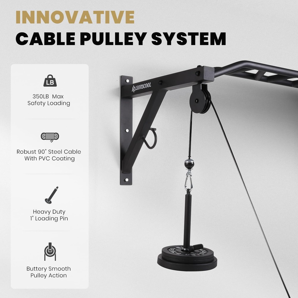 Multifunctional Wall Mounted Pull Up Bar with Pulley System (48" APART)