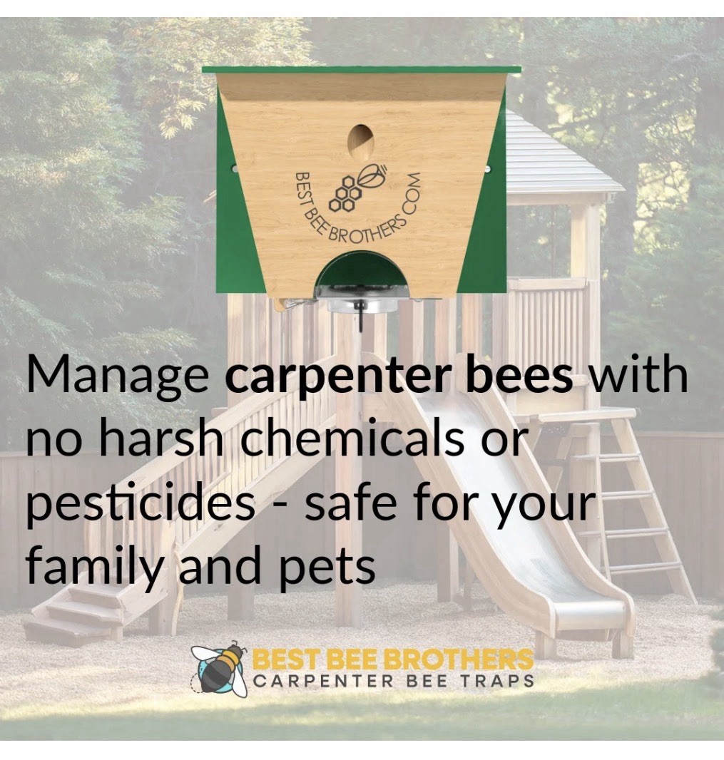 BEST BEE BROTHERS Carpenter Bee Turbo Trap 2.0 Professional Grade