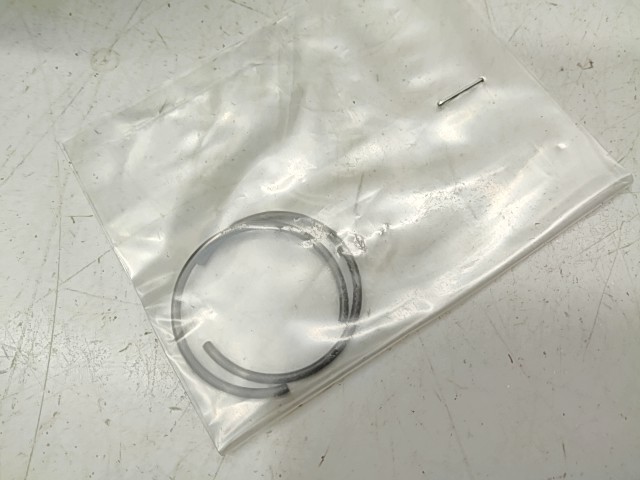 Piston - 2000 Polaris NOS