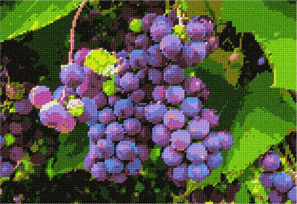 Grapes In Vineyard Needlepoint Kit or Canvas