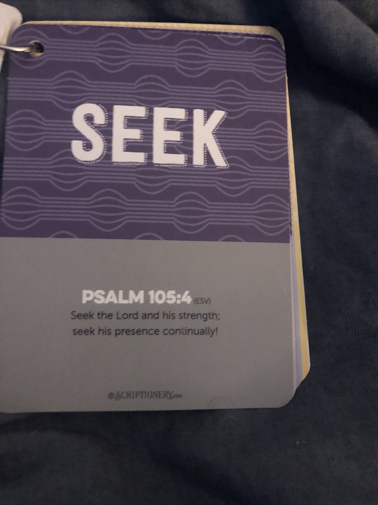 Scriptionery - Go forth Scripture Truths 20 Bible Verses Cards on a ring