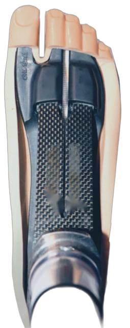 Foot shell with a sandal toe fit for OttoBock 1c60 、1c63、1c5x 、1c64 size 21-28