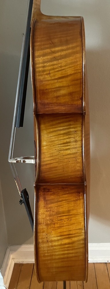 Raúl Emiliani cello