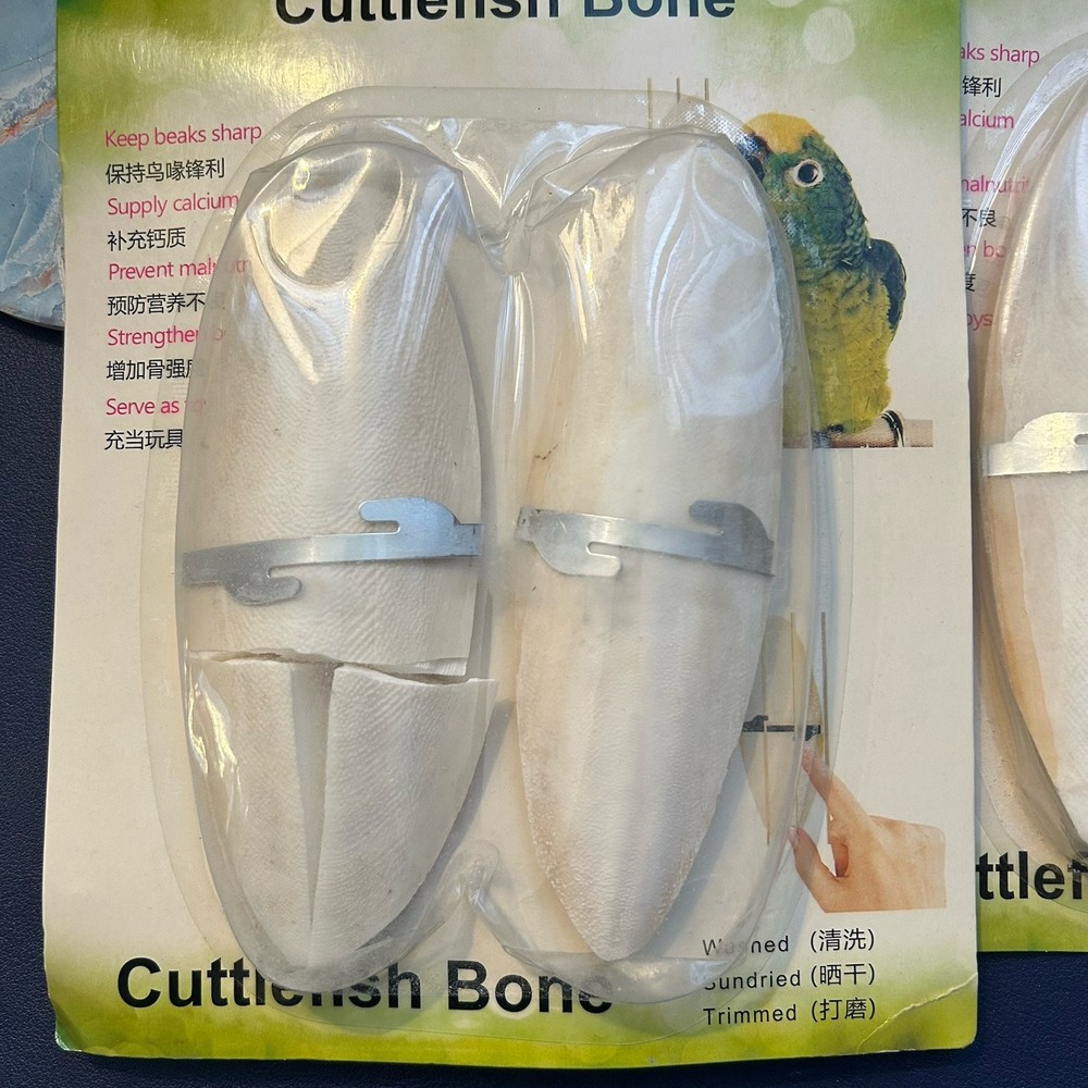 Cuttlefish Bone Bird Cuttlefish Bone