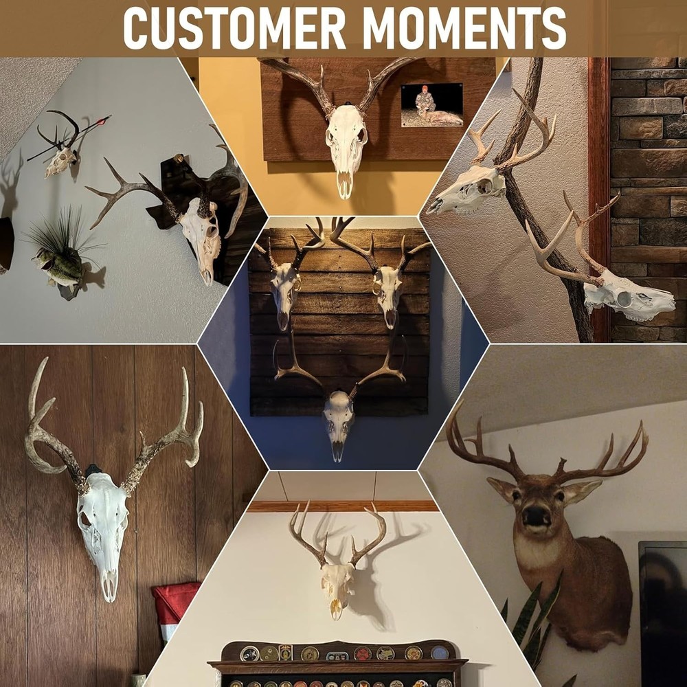 6-Pack Deer Skull Mount Hanger with Silicone Protector - Durable & Elegant