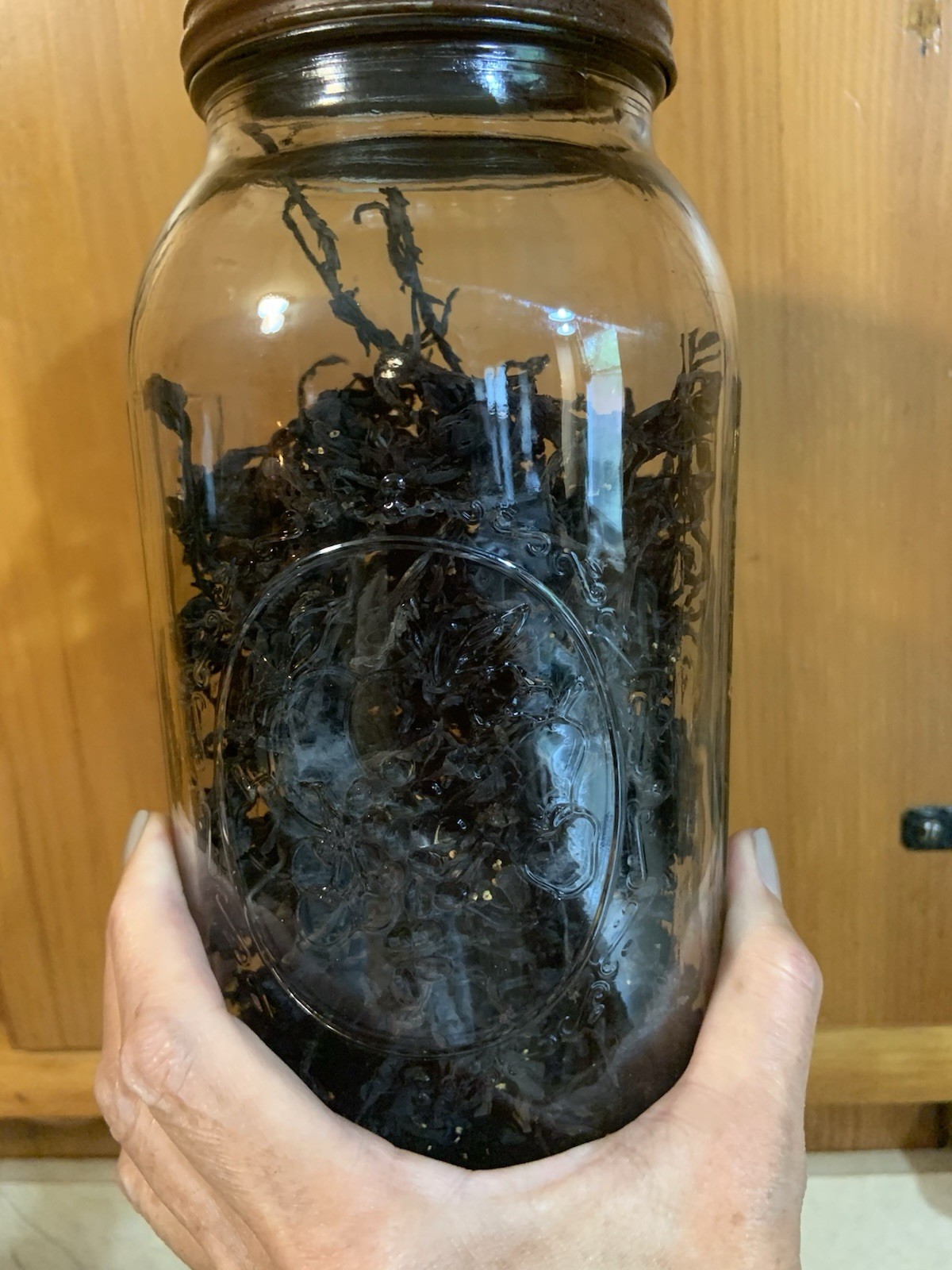 Dried Ghost Pipe Indian Pipe Whole Flowers Box of 12