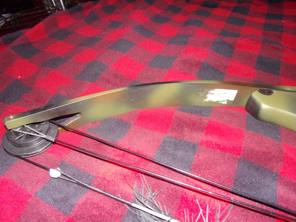 Darton WH300 Compound Bow