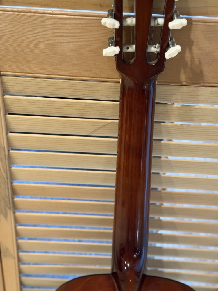 STAGG C542 Pack Beautiful Tone Classical Guitar | Nylon Strings