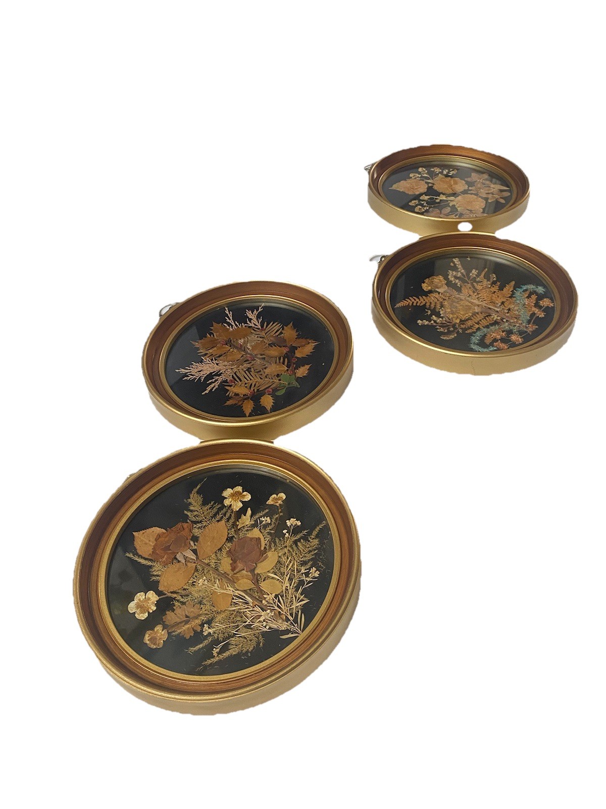 Set of 4 Framed Pressed Flower Art/Wall Decor