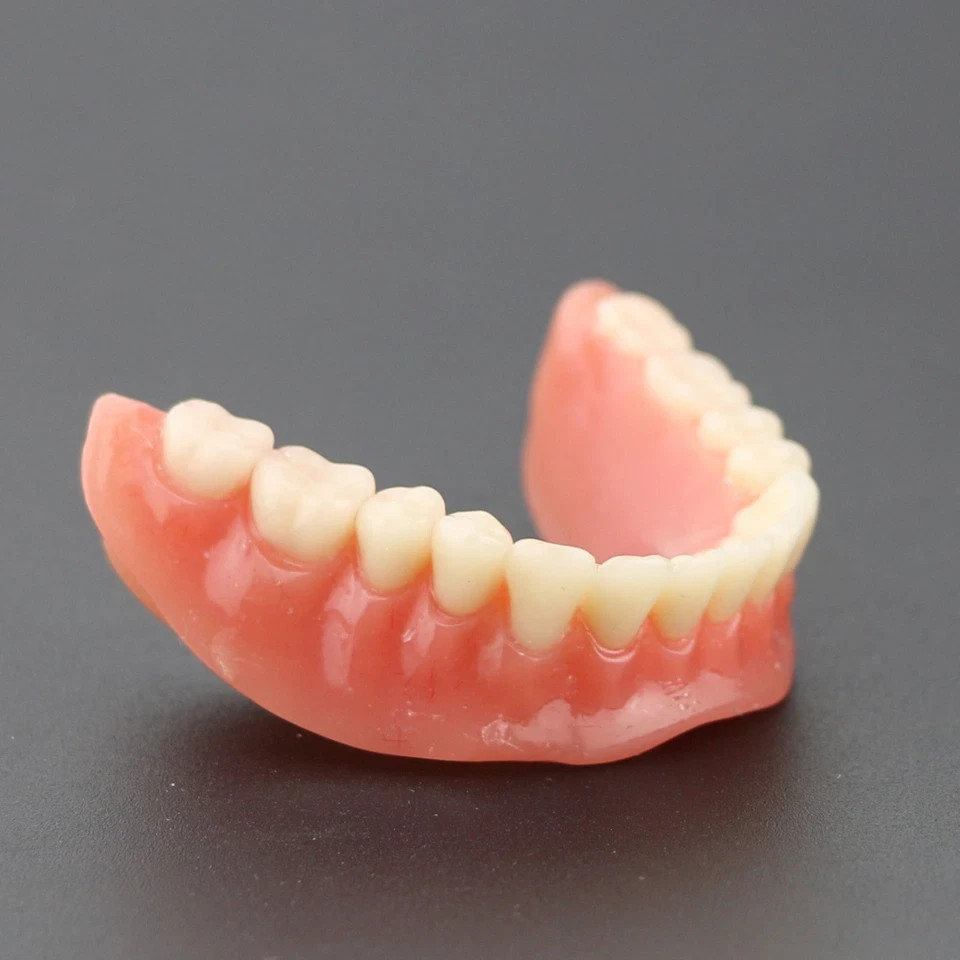 Dental 2/4 Implants Upper Lower Teeth Model Lower Demo Overdenture Restoration