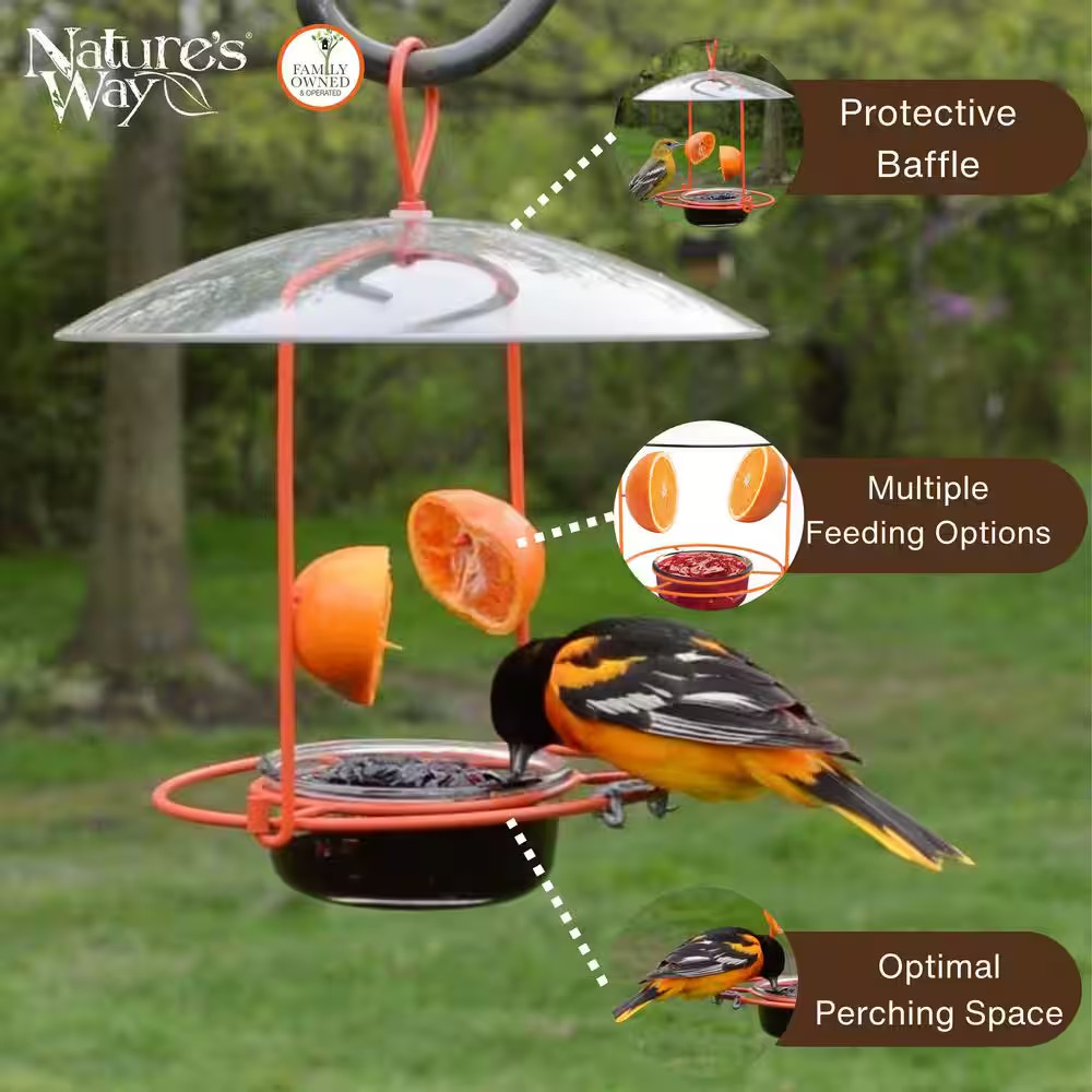Oriole Wire Feeder 3/4 Cup