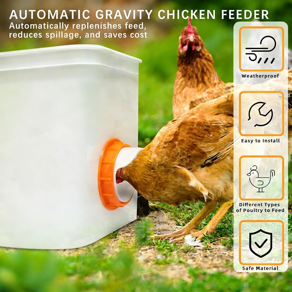 Automatic Poultry Feeder Cups, No Waste Chicken Bucket