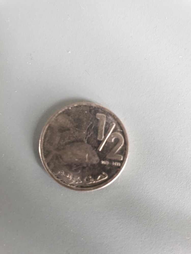 2012 & 2019 Morocco 1/2 Dirham Coin Moroccan Coins