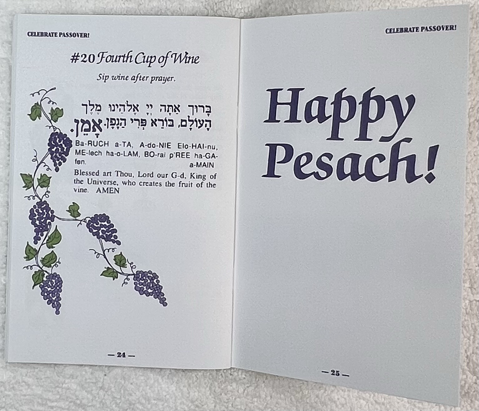 A Family Seder in 20 EASY Steps! Haggadah f/ Passover in a modern way-Lot of 10