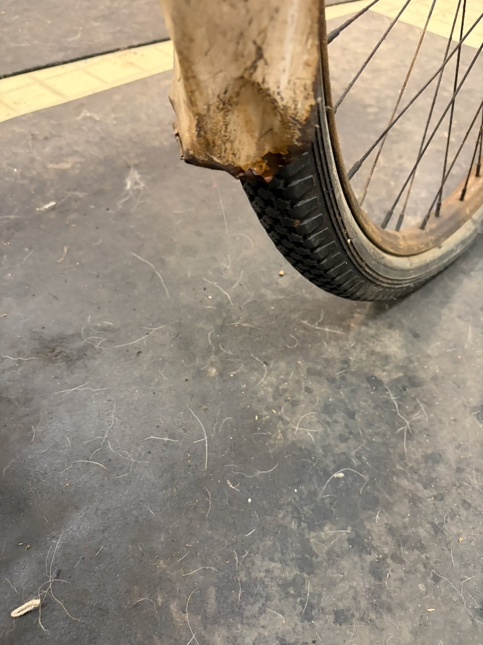 Rollfast RARE! Prewar Mens Bicycle Hanging Tank & Mouse Taillight Zep?