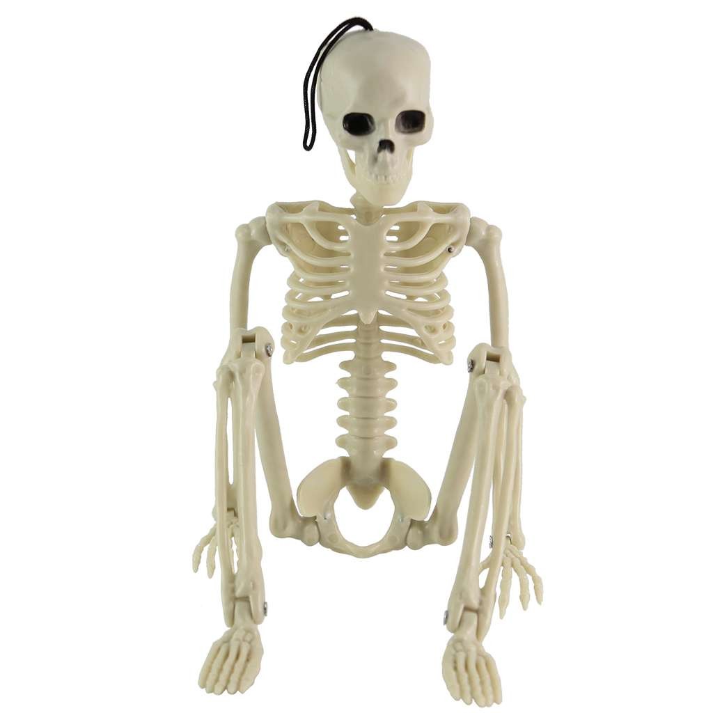 Halloween Human Skeleton Oversized Poseable Size Life Decoration Party Prop 41cm