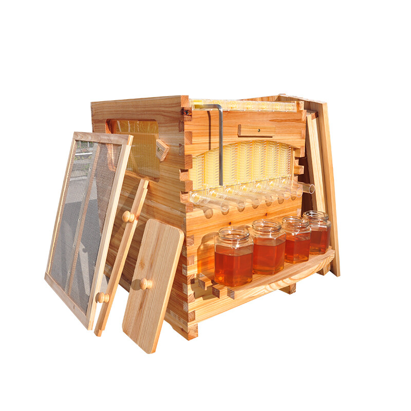 Auto Bee Hive Boxes Beehives+ 7x Bee Frames Honey Bee House Beekeeping Beekeeper