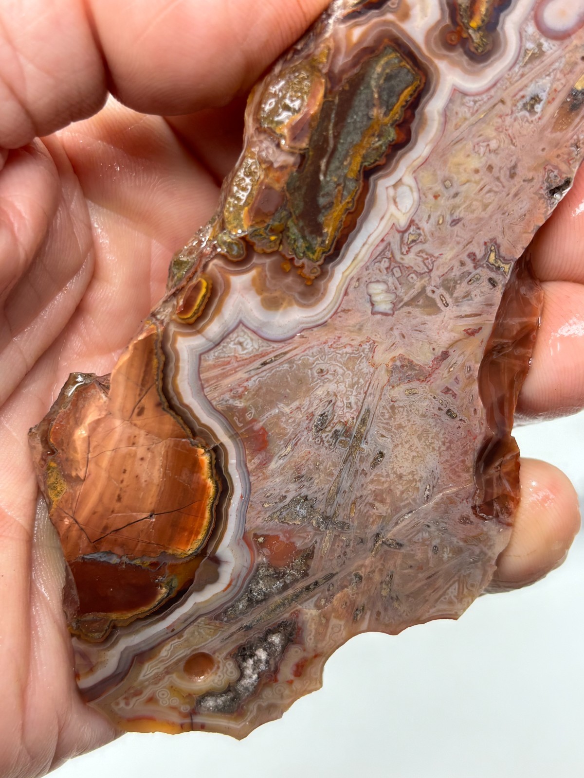 Turkish Stick Agate slab Cabbing Lapidary Collecting Combo Ship avail