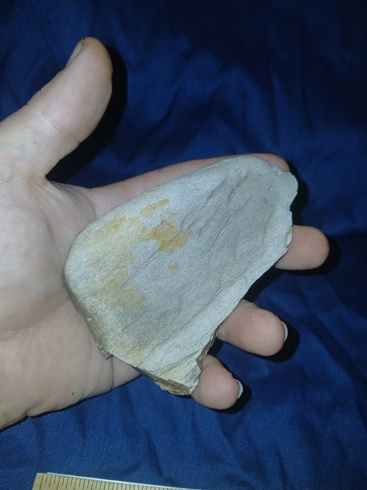 6.2 oz Petrified Wood