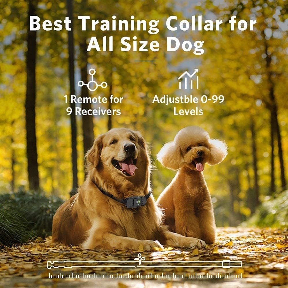 Electronic Dog Training Collar with Remote - Long Range & Security Lock Features