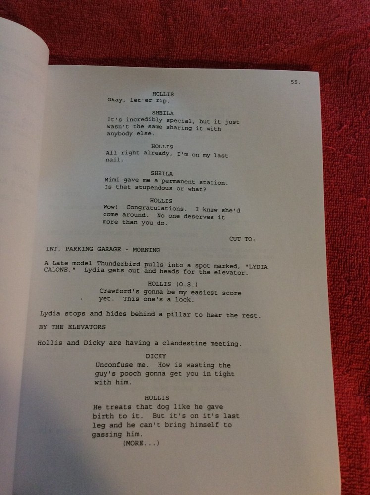 ORIGINAL SCRIPT COMPANY MAN ARNIE WESS DAVE DIGREGORIO