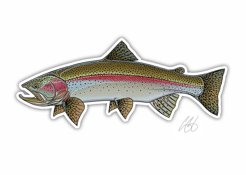 Outdoor Fish Decals Fish 5.5"