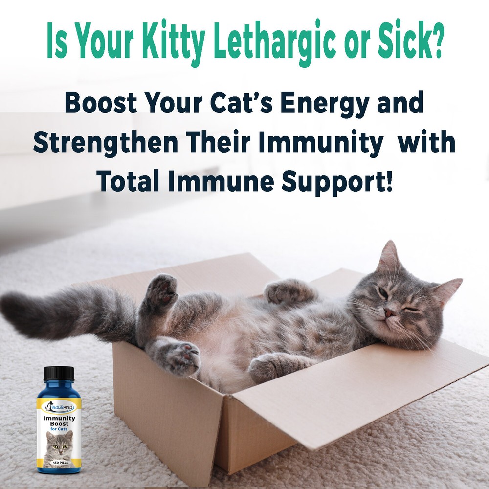 IMMUNITY BOOST FOR CATS Immune System Support Natural Supplement