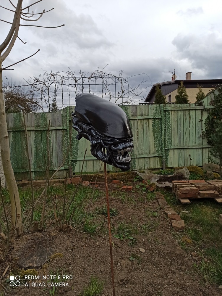 Alien / Xenomorph Romulus bust - head