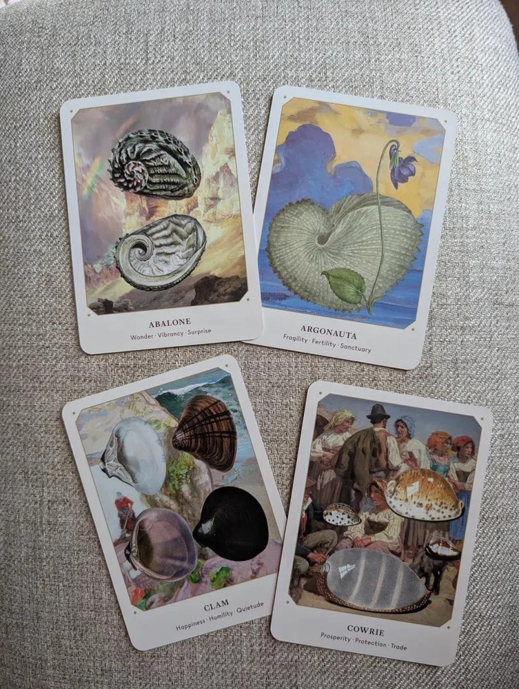 Sea shell oracle deck