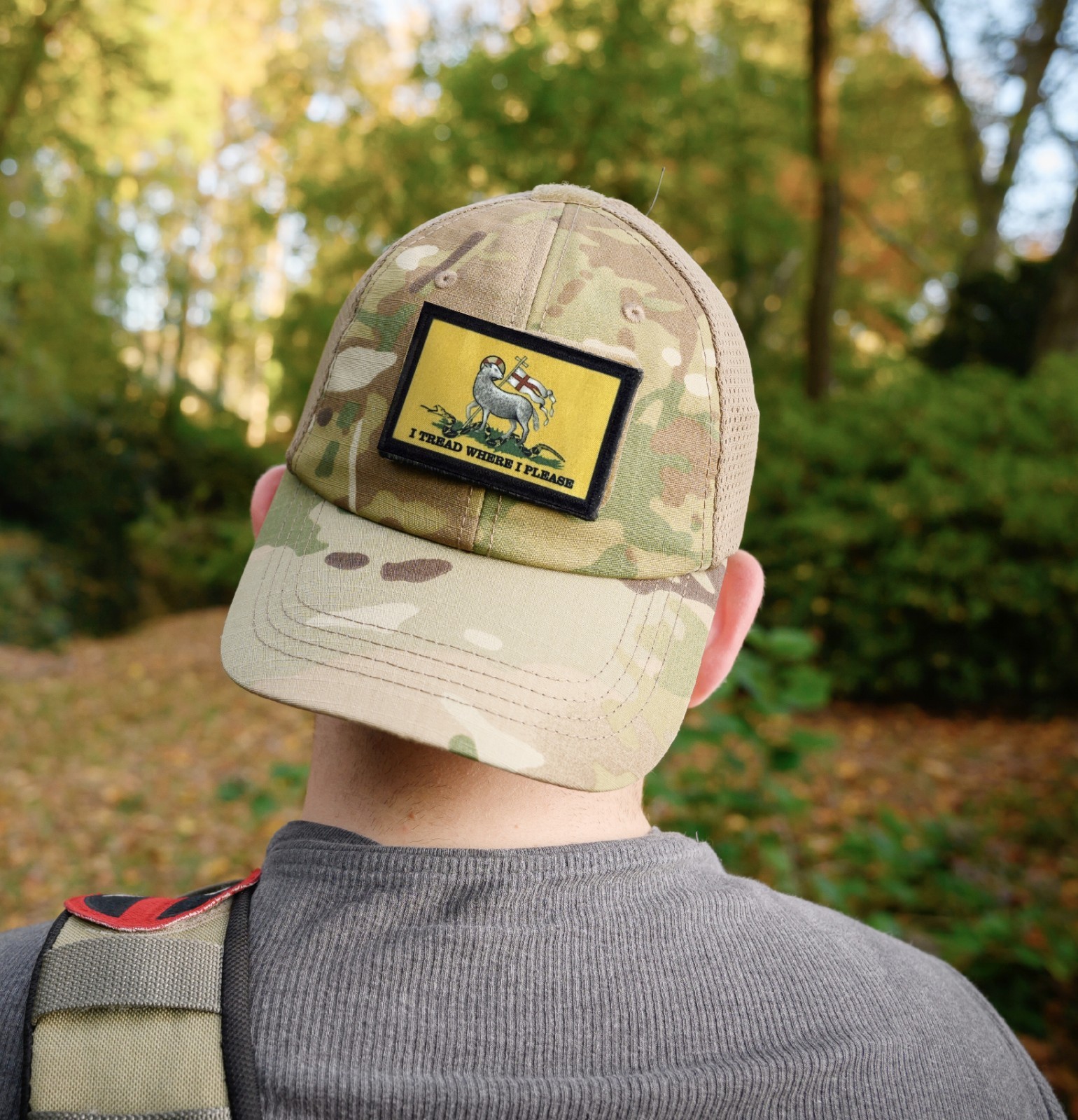 I Tread Where I Please Christan Morale Patch - Gadsden Flag - hook and Loop 2x3