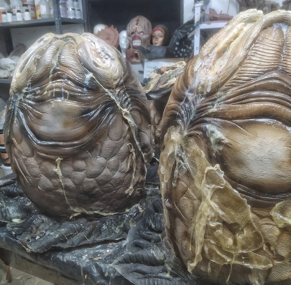 Alien/Xenomorph Eggs