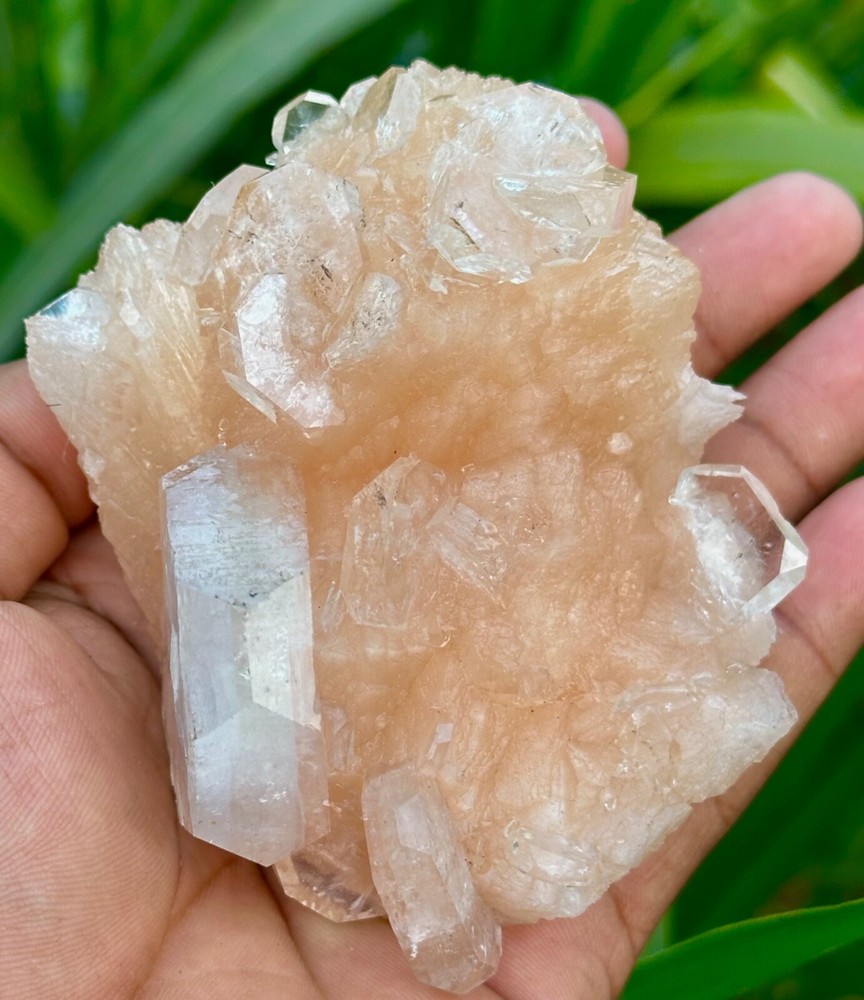 APOPHYLLITE ON STILBITE MATRIX MINERAL SPECIMEN