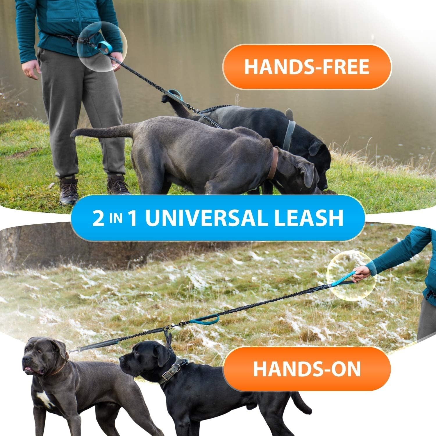 Dual Dog Leash No Tangle Coupler Nylon for Two Large Small Dogs Double-Head Rope