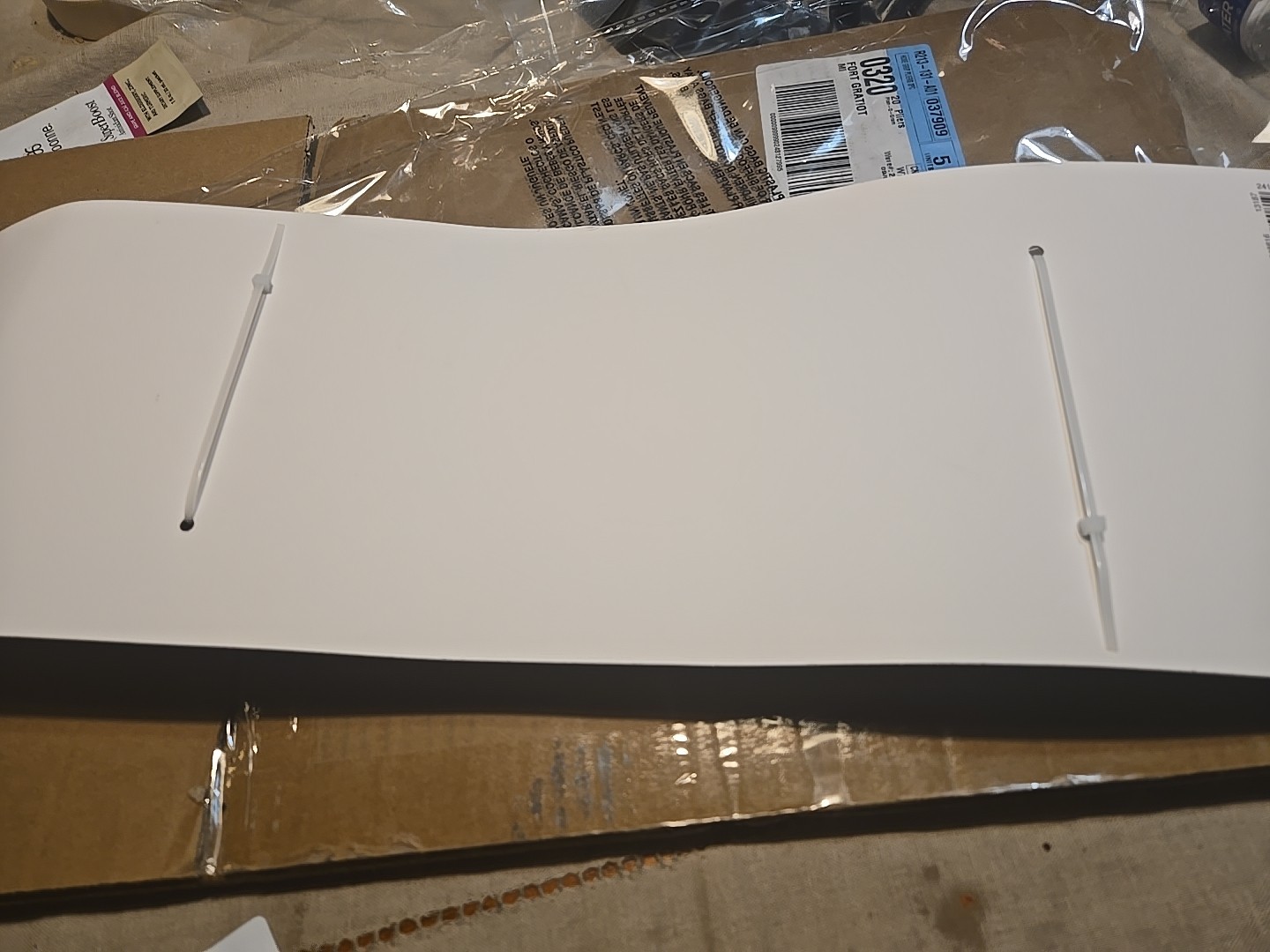 Championship Title Belt Boxing Wrestling UFC Adult Costume WWE AEW Halloween New