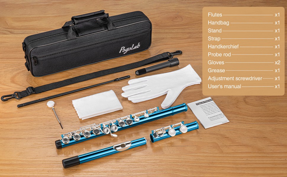 PogoLab CONCERT FLUTE | BLUE SCHOOL BAND WITH STAND HARD CASE & ACCESSORIES
