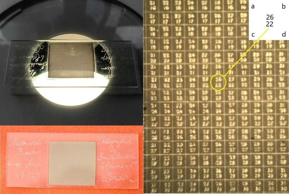 Antique Microscope Smith & Beck First Class Microscope