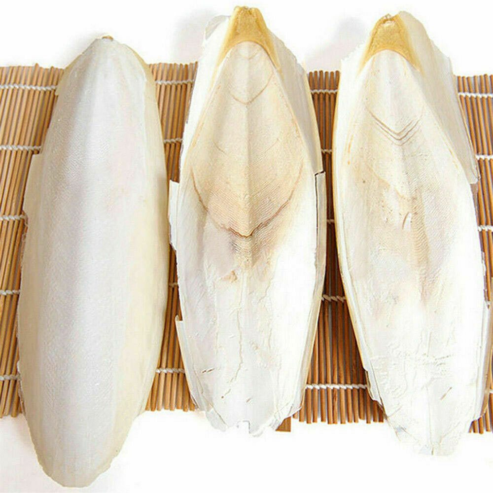 10/20PC 1.6-2.4" Cuttlebone for Birds Parrot Chewing Cuttle Bone for Sharp Beaks