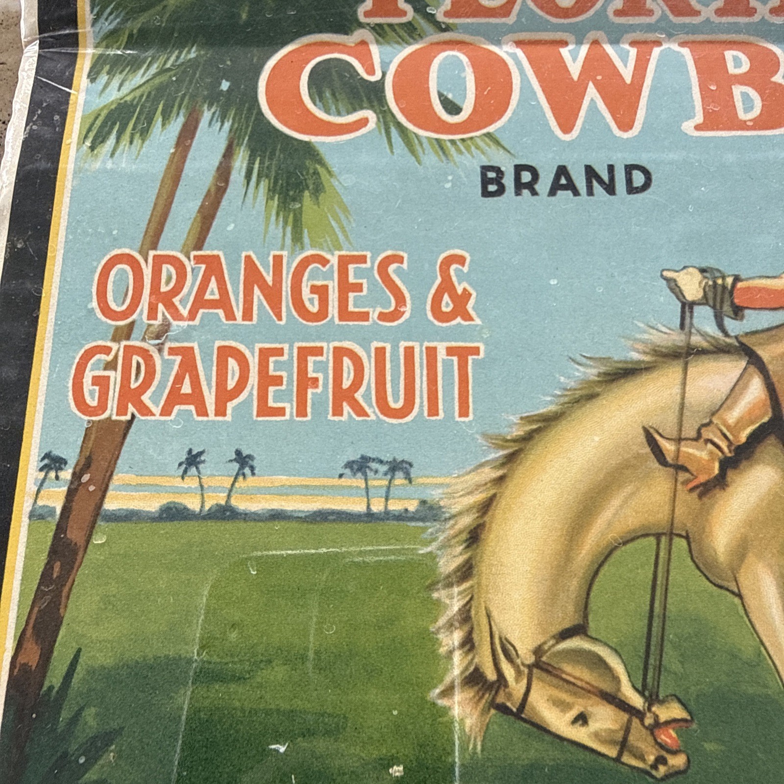 Original Vintage Florida Cowboy Citrus Crate Label Kissimmee Growers Horse Art