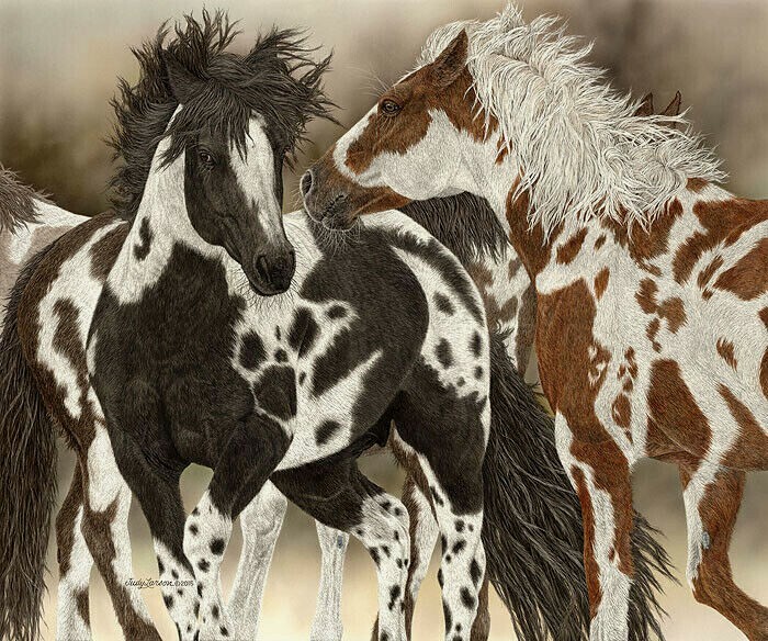 Judy Larson Boys To Men  Signed & Numbered  With Certificate EDITION 150