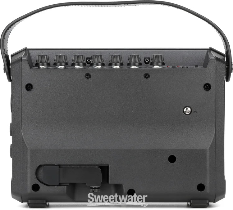 Roland CUBE Street Mini Multi-instrument Combo Amplifier