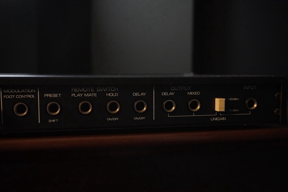 Roland SDE-1000 Digital Delay