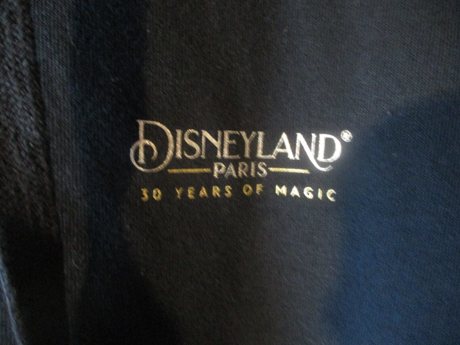 DISNEYLAND PARIS 30 YEARS TINKERBELL FULL ZIP HOODIE