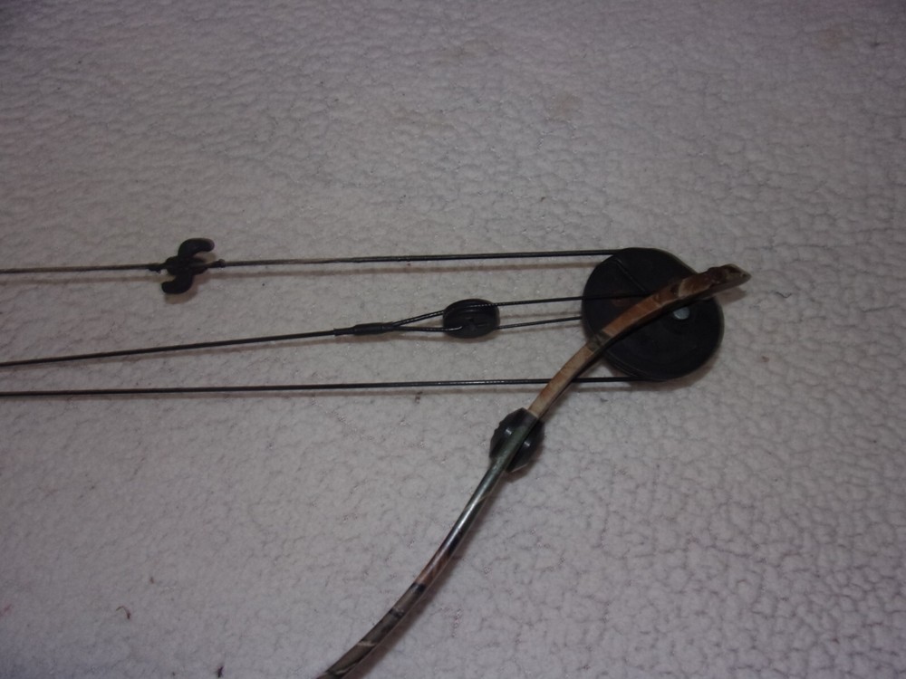 Golden Eagle Falcon Flame Compound Bow