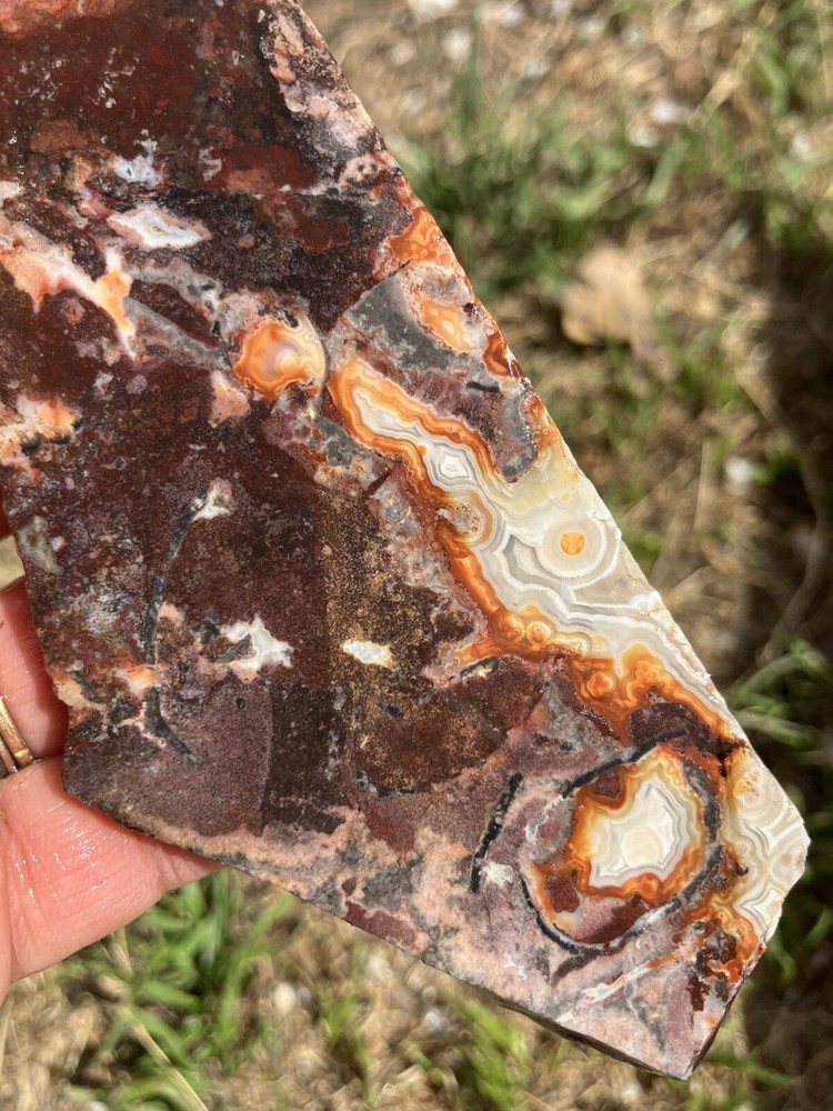 Crazy Lace Agate Slab (Mexico)