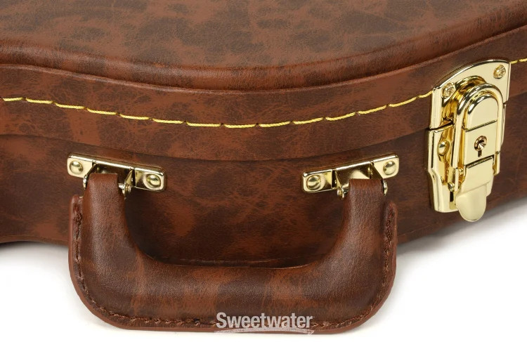 Fender Stratocaster/Telecaster Poodle Case - Brown