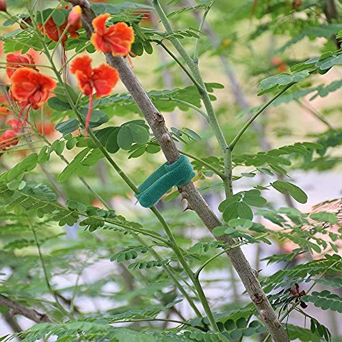 Garden Hook＆Loop Plant Cable Ties, Multi-functional Ties, Adjustable 50 Green