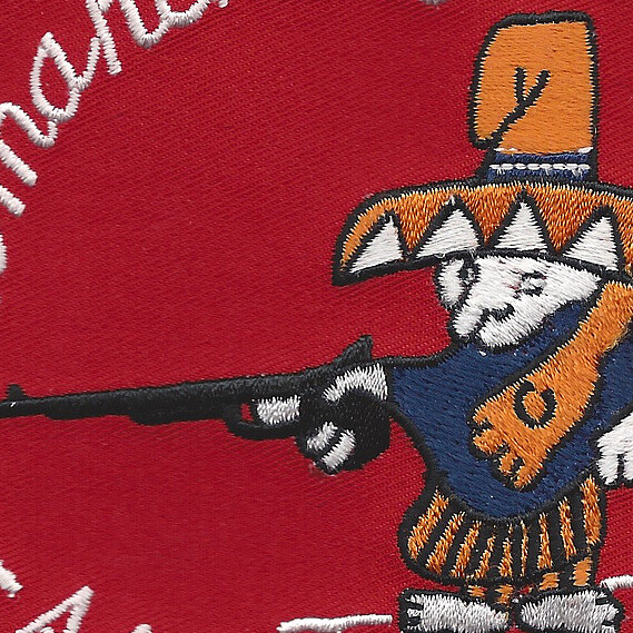 101st Aviation Assalt Helicopter Battalion Patch